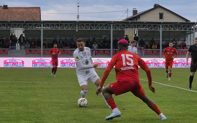 josip_oedt_fchw