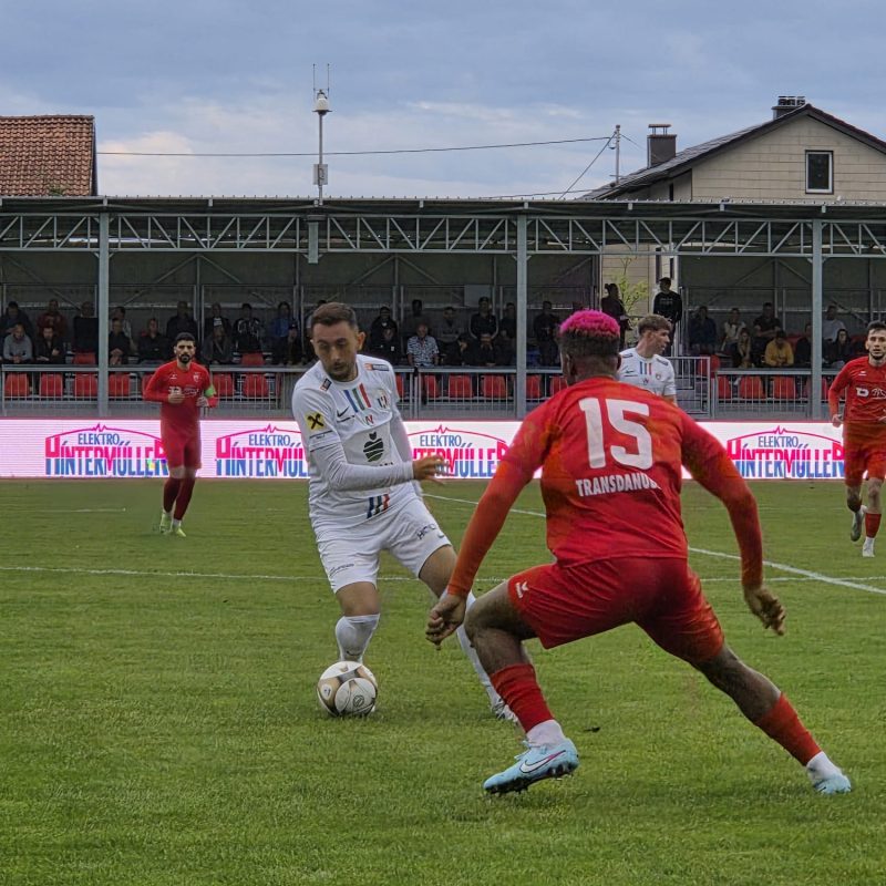 josip_oedt_fchw
